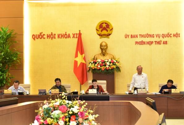 Tin tức Siêu Cúp Việt Nam: tin nhanh