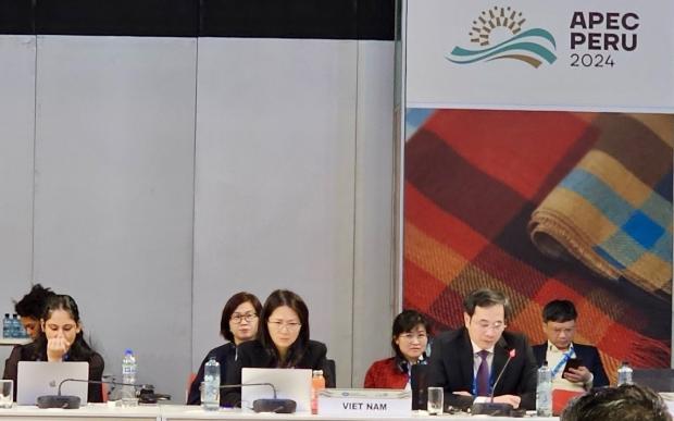 Các cuộc họp trong khuôn khổ SOM1 – APEC 2024